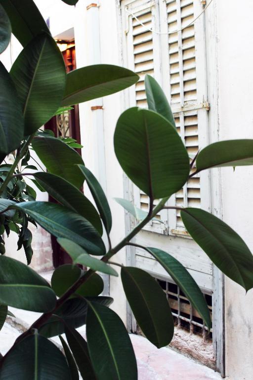 Filyra Pension Nafplio Exteriér fotografie